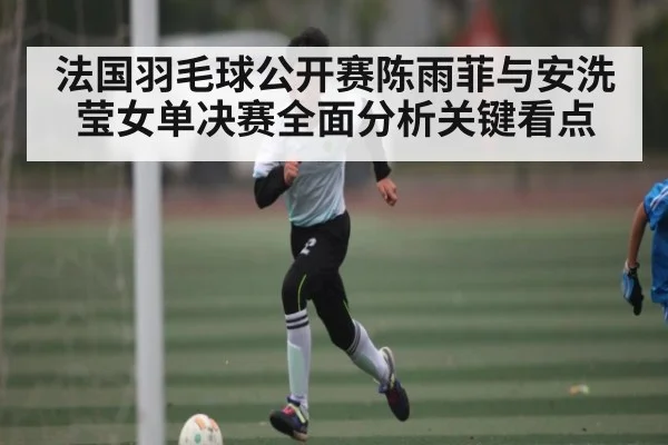 法国羽毛球公开赛陈雨菲与安洗莹女单决赛全面分析关键看点